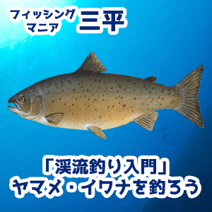 「渓流釣り入門」ヤマメ・イワナを釣ろう