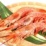 「淡水の小物釣り入門」テナガエビを釣ろう