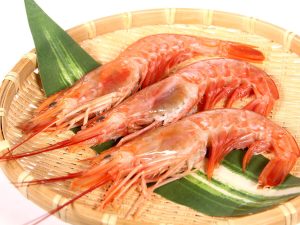 「淡水の小物釣り入門」テナガエビを釣ろう