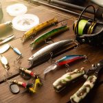 釣った魚を美味しく持ち帰るための「血抜き」とは